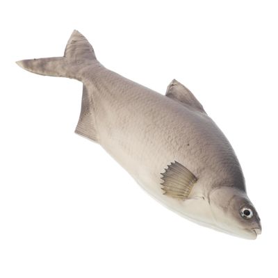 Amosfun Lifelike Simulated Fish PU Model Realistic Cat Fish for Kitchen Decor Photography Props and Ocean Themed Displays for Collectors and Life Enthusiasts