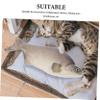 Amosfun Lifelike Simulated Fish PU Model Realistic Cat Fish for Kitchen Decor Photography Props and Ocean Themed Displays for Collectors and Life Enthusiasts view 3