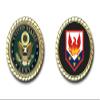 110th Maneuver Enhancement Brigade US Army Challenge Coin view 1