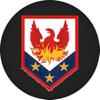 110th Maneuver Enhancement Brigade US Army Challenge Coin view 3