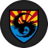 111th Military Intelligence Brigade US Army Challenge Coin view 3