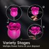 12 Pink Rose Bouquet Building Set with Heart-Shaped Gift Box Base, 528PCS Gothic Romantic Roses Artificial Flower Building Blocks, Gift for Christmas,Valentines Day, Anniversary for Wife Women Girls view 3