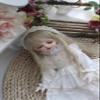 1/3 1/4 1/6 BJD Doll Clothes Handmade Fashionable and Cute Clothing Suitable for 11.8 in 18in 24 in BJD SD Doll (White, 1/3) view 2