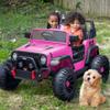 Hikiddo 2 Seater Ride on Car for Kids, 12V Electric Car Ride on Toy for Kids Age 4-8 w/Remote Control, Capacity 150lbs - Pink view 2