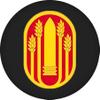 196th Maneuver Enhancement Brigade US Army Challenge Coin view 3