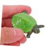 Abaodam 4PCS Plastic Turtle Figurines for Kids Small Tortoise Statues Educational Cake Toppers Party Decorations for Children's Birthdays and Events view 4