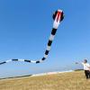 180Ft Giant Soft 3D Huge Snake Kite Inflatable Adult Tearproof Profissional Outdoor Easy to Fly Single Line Competition view 4