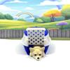 3D Printed Dog with Dog Kennel, 3.5" Articulated Chihuahua Puppy Animal, Man's Best Friend, Fidget Animal Toy, Office and Home Decor - ADSET3-CHI-BK view 2
