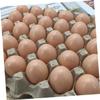 12Pcs Blank Easter Eggs for DIY Decoration Paintable Egg Decor for Easter Party and Home Decor Vibrant Crafting Supplies view 3
