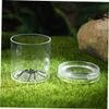 5Pcs Transparent Magnifying Jars Portable Insect Viewer Box for Nature Exploration Collection Kit for Outdoor Adventures and Science Learning view 3