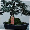14Pcs House Ladder Decorations Chic Photography Props for Flower Pot and Micro Landscape Material for Miniature House Accessories Decor for Home view 4