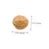 4Pcs Lifelike Plastic Walnut Models for Home Decoration Photography Props Realistic Desktop Ornaments for Model Room Display Sturdy Easy to Maintain view 2
