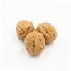 4Pcs Lifelike Plastic Walnut Models for Home Decoration Photography Props Realistic Desktop Ornaments for Model Room Display Sturdy Easy to Maintain view 4