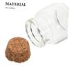 CALLARON 10pcs Mini Glass Keepsake Bottles for Teeth Hair Storage Sturdy Glass Vials with Lids for Organizing Precious Memories Cute Compact Design view 3