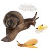 1Set Creative Snail Growth Cycle Models Realistic Snail Life Cycle Figurines for Educational Play Enhance Nature Understanding Imagination view 1