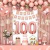 100th Birthday Decorations for Women Girls, Happy 100 Birthday Decorations for Her, Rose Gold Birthday Party Supplies with Banner, Number Balloons, Fringe Curtains, Hanging Swirls view 1