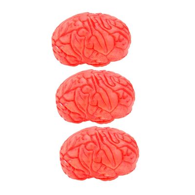 3Pcs Realistic Fake Human Brains Halloween Prop Vivid Body Parts Decoration for Parties Scary Organ Model for Teaching Halloween Fun Horror Decor for Medical Schools
