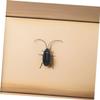 4pcs Solar Powered Insect Models Realistic Simulation for Science Education Solar for Boys and Includes view 4