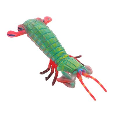 Abaodam Realistic Mantis Shrimp Model Lifelike Ocean Animal Figurine for Educational Cognitive for Display Play and Decoration Engaging Life Sculpture