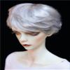 1/3 1/4 1/6 1/8 BJD Male Doll Wig Doll Hair Short Hair (Gray White) for Male Movable Doll Action FigureJointed Doll DIY Toys(1/3) view 2