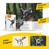 PNSO Prehistoric Dinosaur Models:93 Junlang The Caudipteryx view 3
