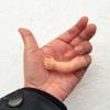 aoukoslt Little Hand Coin Disappeared Trick Tools Close-Up Magic Show Props Popular Magic Coins Disappear Gimmicks, Magic Kits and Accessories view 3