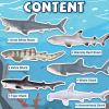 6 Pack Large Size Shark Toys(15-16 Inch) with Educational Booklet, Soft Plastic Figurines, Party Decoration, Under The Sea Creature Toy, Ocean Animal Figure for Kid Boy Girl Toddler, Cake Toppers view 3