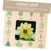 DOITOOL Nature Exploration Identification Tool Frame for Engaging Cloud Lessons and Activities for Curious view 2