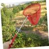 CIYODO 1Set Extendable Catching Nets Insect and Butterfly Fishing Kit for Outdoor Exploration for Gross Motor Skills view 4