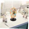 Abaodam Animal Cell Model Kit for Students Anatomical Display Teaching Tool for Biology 3D Educational Model Detailed Features for Classroom and Home Learning view 4