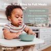 WeeSprout Suction Bowls for Baby & Toddlers (Set of 2) - 100% Silicone w/Plastic Lid - Leak Proof Feeding Supplies - Dishwasher & Microwave Safe Infant Dinnerware w/Extra Strong Base view 3
