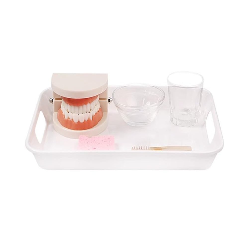 LLTCMAOYI Montessori Brushing and Washing Set Toys, Early Education Life Brushing Teaching AIDS Model