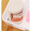 LLTCMAOYI Montessori Brushing and Washing Set Toys, Early Education Life Brushing Teaching AIDS Model view 3