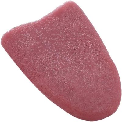 Cauaoa 1 Pc Realistic Fake Tongue Gross Jokes Prank Magic Tricks,Halloween Horrific Magicians Props,Magicians Props Tricks Tongue,Fake Tongue Piercing,Novelty and Gag,Magic Kits Accessories
