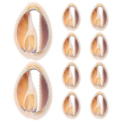 Abaodam 10pcs Natural Spiral Seashell Charms for Jewelry Making DIY Craft Accessories Mini Shell Pendants for Earrings and Bracelets for Beach Decor and Handmade