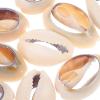 Abaodam 10pcs Natural Spiral Seashell Charms for Jewelry Making DIY Craft Accessories Mini Shell Pendants for Earrings and Bracelets for Beach Decor and Handmade view 3
