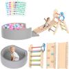 Acenova Pikler Triangle Climbing Set with Cushion and DIY Name Stickers, Montessori Wooden Climbing Gym for Toddlers, Indoor Jungle Gym, Dinosaur Pikler Triangle Arch Ramp Climber Toy view 1