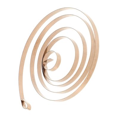 Anneome Stainless Steel Wind Up Spring Replacement for DIY Craft Durable Precision Engineered Coil Spring for Clockwork Animal Models and Mini Vintage