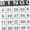 HEALSOPTHY 50Pcs Paper Bingo Cards for Family Fun and Party Games Interactive Replacement Bingo Supplies for Boy Girl and Adults Portable Carnival Game Favor for Gatherings and Group Entertainment view 3