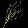 10pcs Frosted Flower Picks Decorative Stems Glittering Christmas Picks For Tree Ornament And Indoor Displays Picks view 4