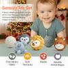 ROHSCE 6-Pack Baby Sensory Balls, Textured & Animal Face Toddler Balls, BPA-Free Soft Teething Toys, Montessori Developmental Toys for Babies 6-12 Months, for Infant view 2
