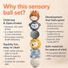 ROHSCE 6-Pack Baby Sensory Balls, Textured & Animal Face Toddler Balls, BPA-Free Soft Teething Toys, Montessori Developmental Toys for Babies 6-12 Months, for Infant view 4