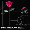 12 Everlasting Pink Roses Bouquet Building Set, Gothic Home Office Table Centerpiece Flowers Decor with Heart-Shaped Gift Box Base, Perfect Valentine's Day Gift for Her, Mom, Girlfriend, or Wife view 2