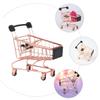 Hohopeti Mini Shopping Trolley for Lifelike Grocery Cart Accessory for Play House Decoration Photography Prop Miniature Design view 4