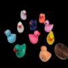 15pcs Duck Magnets Mix, Duck 3D Mini Dick Magnets, Bag of Dicks, Perfect Prank Great Gag Gift, Funny Weddings, Concerts, Bachelorette Party view 2
