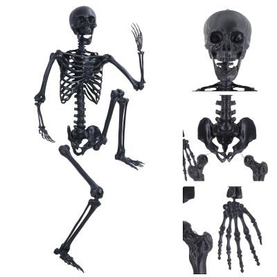 5.4FT Halloween Skeleton, Life Size Skeleton Decoration, Posable Skeleton Prop with Movable Joints, Full Body Plastic Skeleton for Outdoor Yard, Hanging Halloween Pirate Skeleton Decor Black