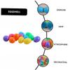 Abaodam 96Pcs DIY Plastic Easter Eggs Openable for Graffiti Decor for Easter Celebrations Home School Decoration Sturdy Material view 3