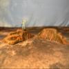 Legion Terrain - Hive Planet Embankments- Miniature Tabletop Wargaming Terrain (Painted) view 3
