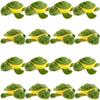 16 Pcs 3.8 Inch Mini Stuffed Turtle Animals Toys Plush Turtle Animals Turtle Party Favors Small Stuffed Turtle Keychain for Birthday Party Goodie Bag Fillers view 1