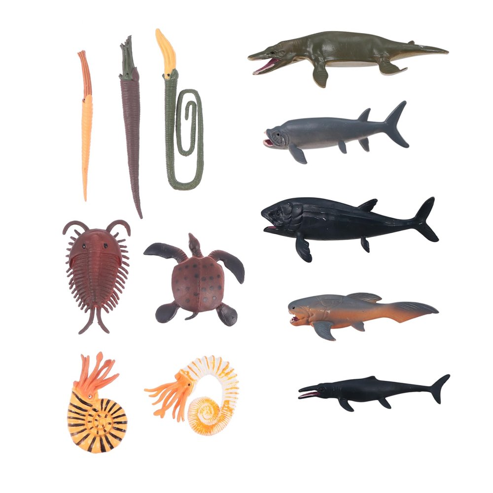 Beaupretty 1Set Simulated Prehistoric Animal Models Vivid Aquatic Creatures Figures for Educational Play Home Decor and Options
